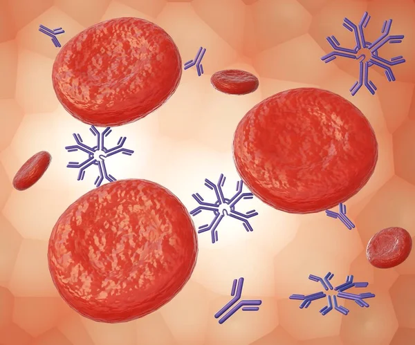 The distribution of antibody immunoglobulin M interaction forces on individual red blood cells 3d rendering