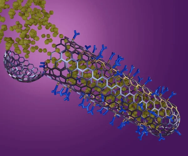 Nanomedicine Closed Single Layer Carbon Nanotube Conjugated Antibodies Rendering — Foto de Stock