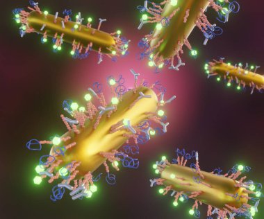 Rod shape gold nanoparticle conjugates antibodies, proteins, peptides, ligands, linker, polymers and biosensor 3d rendering