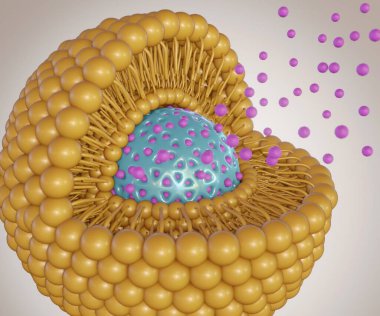 Lipid bilayer coating mesoporous silica nanoparticle as nanodrugs carrier or delivery. Nanomedicine release from encapsulated nanocarrier 3d rendering