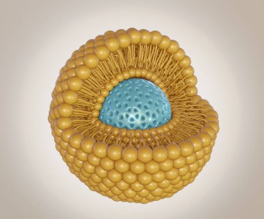 Isolated lipid bilayer coating mesoporous silica nanoparticle 3d rendering in the background