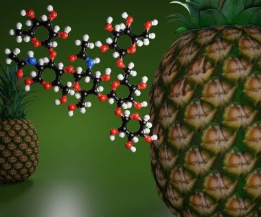 Bromelain in ananas proteaz olarak bilinen bir tür enzimdir ve amino asit zincirlerini keserek diğer proteinleri ayırır.