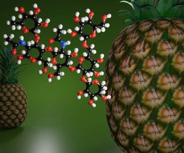 Bromelain in pineapple is a type of enzyme known as a protease, which breaks other proteins apart by cutting the chains of amino acids 3d rendering clipart