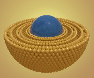 İzole olmuş çoklu lamellar Vesicle yapısı. 3D görüntüyü kapat