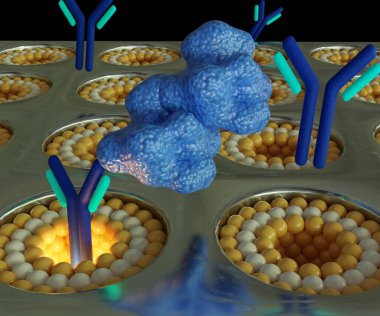 Analiz eden proteinler antikor molekülü veya reseptör akışı üzerine opto-akışkan biyo-sensör 3d nano delikleri aracılığıyla eşlenir.