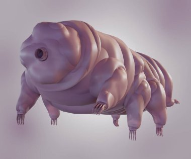 Su ayıları veya yosun domuzcukları olarak bilinen tardigradlar, üç boyutlu izole edilmiş sekiz bacaklı mikro hayvanlardan oluşan bir filizdir.