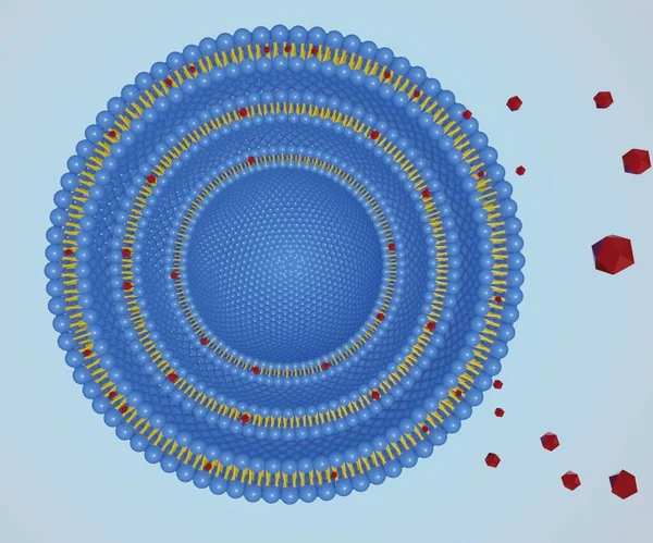Vesícula Multilaminar Aislada Con Molécula Nanofármacos Hidrofóbicos Dispersos Vista Cerca — Foto de Stock