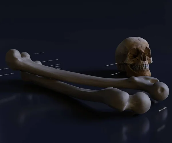 Gerçekçi Zehirli Işaret Sembol Bir Kafatası Çapraz Kemikler Beyaz Arkaplanda — Stok fotoğraf