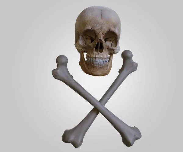 Signo Tóxico Realista Símbolo Cráneo Huesos Cruzados Aislado Fondo Blanco — Foto de Stock