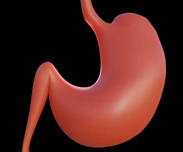 Isolated Human Stomach Organ Black Background Rendering — Stock Photo, Image
