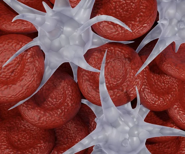 Platelets cluster together to form a clot and prevent bleeding at the site of an injury 3d renderin