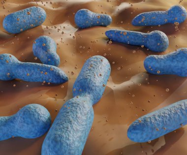 Clostridium düşük oksijen koşulları altında tehlikeli toksinler (botulinum toksinleri) üreten bir çubuk şekilli bakteridir.