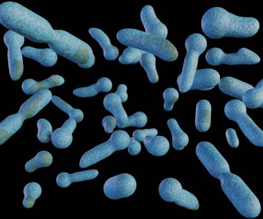 Clostridium düşük oksijen koşulları altında tehlikeli toksinler (botulinum toksinleri) üreten bir çubuk şekilli bakteridir.