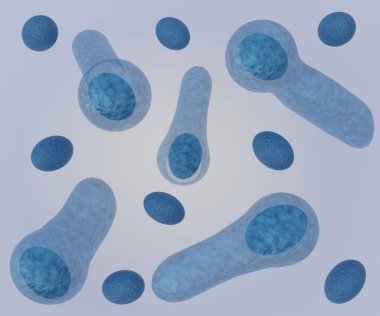 Clostridium botulinum bakterisi tarafından üretilen sporlar ısıya dayanıklıdır ve çevrede yaygın olarak bulunur.