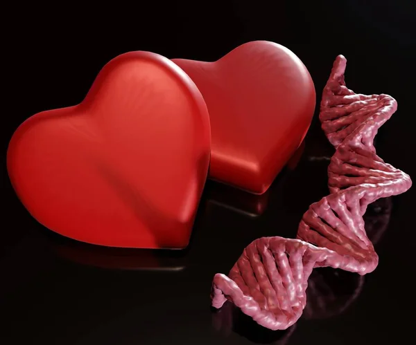 Dna Σκέλος Και Ζευγάρι Σχήμα Καρδιάς Απόδοση — Φωτογραφία Αρχείου