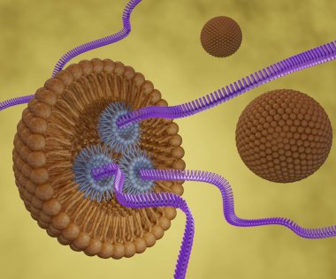 RNA iplikleri veya küçük müdahaleci RNA veya siRNA, mRNA veya CRISPR teslimatı lipid tabanlı nanopartiküller 3d
