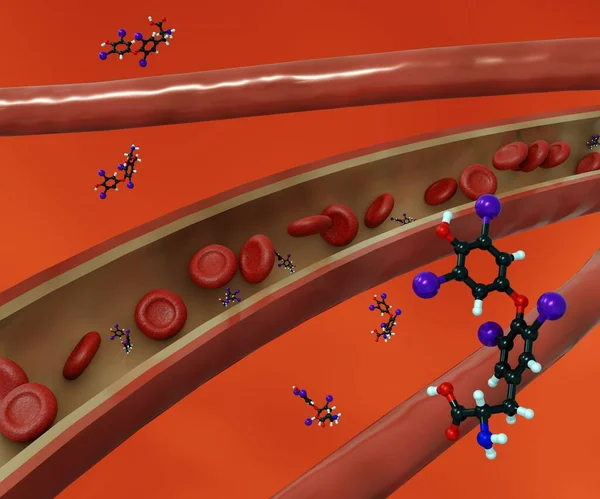 stock image thyroxine or t4 hormone molecule and red blood cells inside of blood vessel 3D rendering