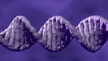 Gerçekçi DNA sarmalı yatay olarak döner 3D görüntüleme