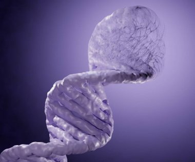 DNA 'yı 3 boyutlu daha küçük moleküllere ayırmak ya da dağıtmak