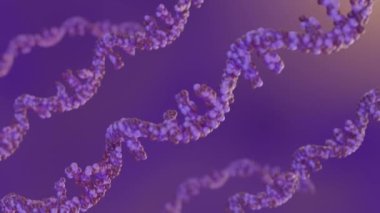 Ribonükleik asidin RNA kısaltması. RNA tipik olarak ribonükleik asidin RNA kısaltmasını oluşturan tek iplikli bir biyopolimerdir. RNA genellikle tek iplikli bir biyopolimerdir.