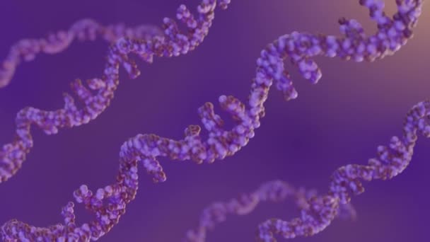 Abreviatura Arn Ácido Ribonucleico Rna Tipicamente Biopolímero Cadeia Única Renderingrna — Vídeo de Stock