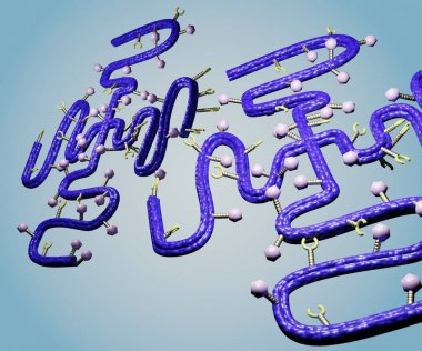 Polimer-uyuşturucu eşlenikleri, polimer moleküllerde tutulan ve 3D üreten ilacın dağıtım sistemi olarak çalışan uyuşturucu molekülleridir.