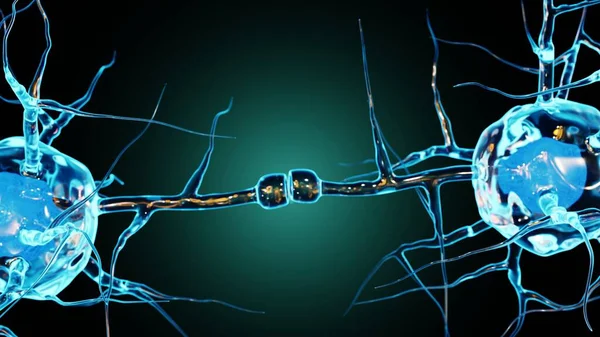 Neurone Cellula Nervosa Una Cellula Elettricamente Eccitabile Comunica Con Altre — Foto Stock