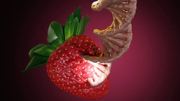 Reife Erdbeere Und Dna Helix Genetisch Veränderte Erdbeeren Rendering — Stockfoto