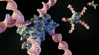 DNA ya da nükleik asit ve protein eşleniği programlanabilir nanomontajlar için bir yapı taşı olarak 3d oluşturulur