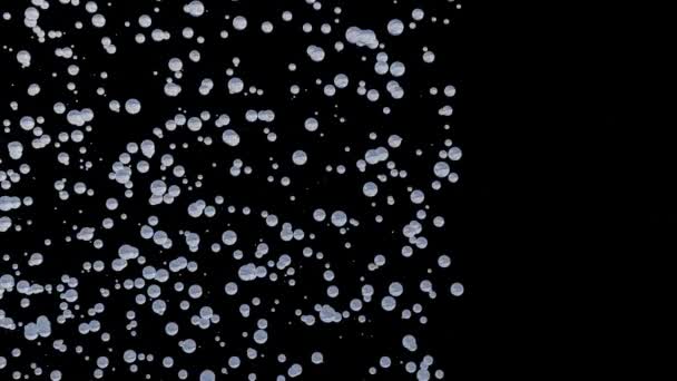 Мікробульбашки Або Нанобульбашки Нейтрально Плавучими Можуть Залишатися Підвішеними Воді Протягом — стокове відео