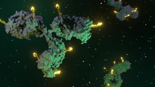 Antikor Ilacı Biyo Sensörleri Kemoterapi Maddelerini Kanser Hücrelerine Ileten Nano — Stok video