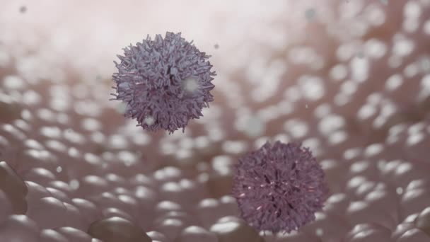 リンパ球と呼ばれる 白血球は 免疫系の一部です B細胞は通常抗体3Dレンダリングと呼ばれるタンパク質を作ることによって細菌から体を保護するのを助けます — ストック動画