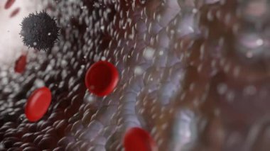 Kan dolaşımının içindeki beyaz kan ve kırmızı kan hücreleri görüntüyü kapatın. 