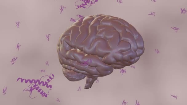Prioner Protein Molekyler Utspridda Den Mänskliga Hjärnan Rendering — Stockvideo