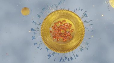Antikorlar protein eşlenik liposom içerir nanomedicine 3d oluşturma.