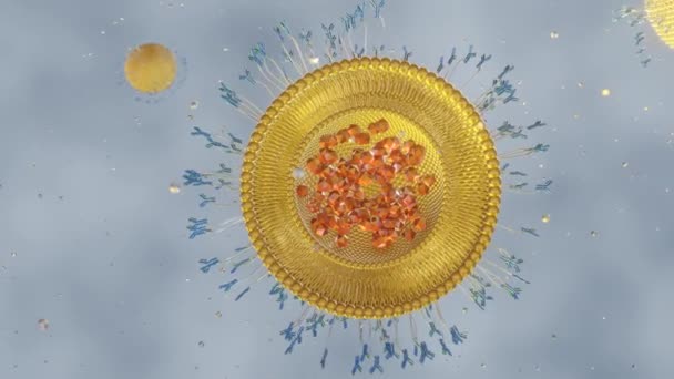 Anticorpos Proteína Lipossomas Conjugados Contendo Nanomedicina Renderização — Vídeo de Stock