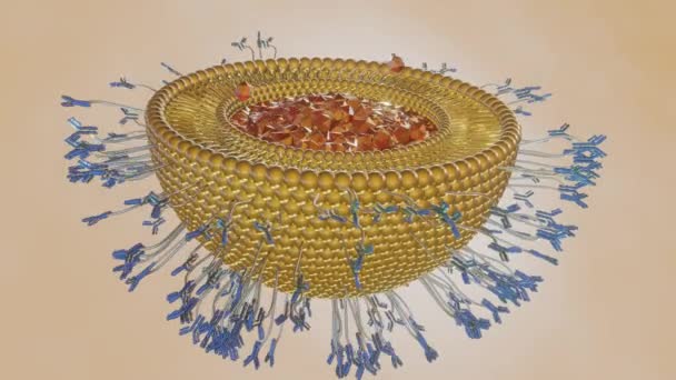 Nanomedicine 렌더링을 단백질 — 비디오