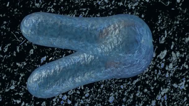 細胞分裂の拡大ビューおよび顕微鏡3Dレンダリングの下で散乱したクロストリジウムのボツリヌス — ストック動画