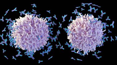 B cells help protect the body against germs, virus, or bacteria by making proteins called antibodies 3d rendering clipart