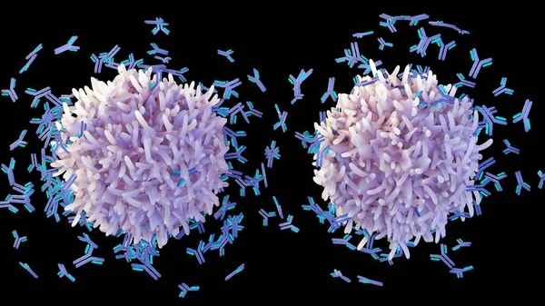 B cells help protect the body against germs, virus, or bacteria by making proteins called antibodies 3d rendering