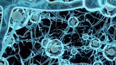 Nöron ya da sinir hücresi elektriksel olarak uyarılabilir bir hücredir. Diğer hücrelerle 3 boyutlu sinapslar aracılığıyla iletişim kurar.