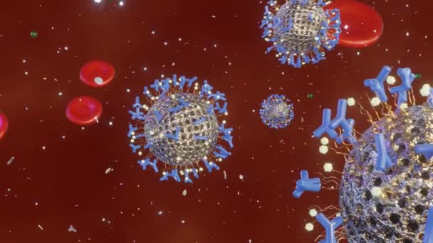 Quantum Dots Conjugated Antibodies Biosensors Blood Vessels Red Blood Cells — Wideo stockowe