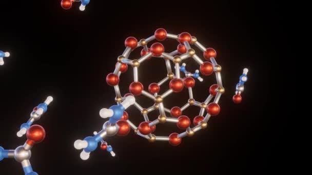 Interaction B24N24 Nano Cages Urea Molecules Rendering — Stock Video