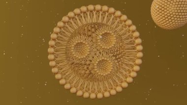 Kolesterolsüz uyuşturucu teslimatı için boş katı katı lipit nanopartikülüne yaklaşın.