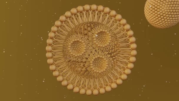 Kolesterolsüz Uyuşturucu Teslimatı Için Boş Katı Katı Lipit Nanopartikülüne Yaklaşın — Stok video