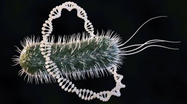Plazmid dairesel DNA ve Escherichia coli bakterisi 3D görüntüleme