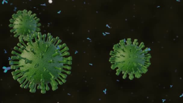 Anticorpos Atuam Contra Vírus Principalmente Ligando Neutralizando Viriões Direcionando Lise — Vídeo de Stock