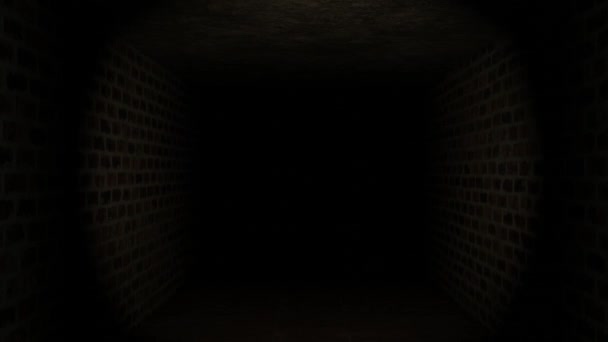 Animation Walking Maze Dark Brick Tunnel Wall — Stock Video