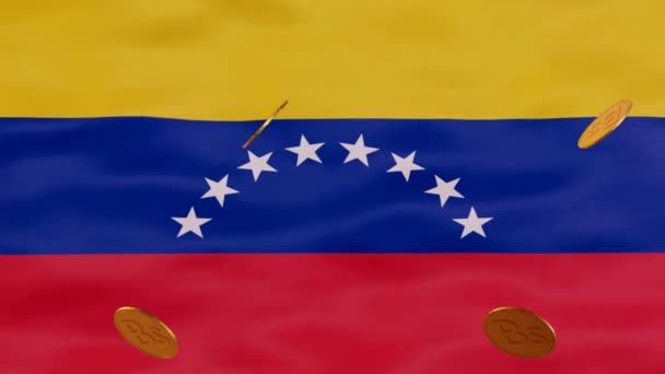 Animation Den Venezuelanska Flaggan Och Regn Bolvar Guldmynt Representerar Landets — Stockvideo