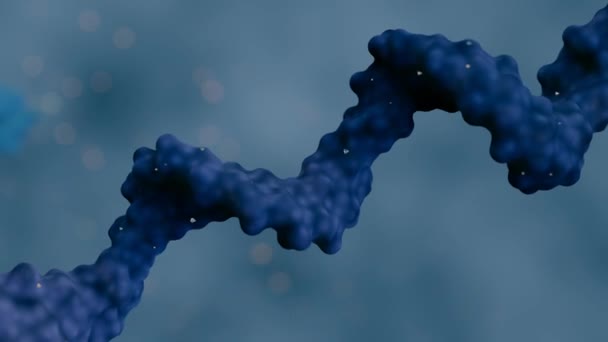 旋转核糖核酸 Rna 的三维动画是由四种称为核糖核酸基的小分子组成的线性分子 — 图库视频影像